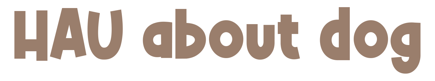 HAU ABOUT DOG